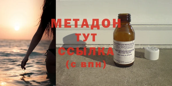прущие грибы Балабаново