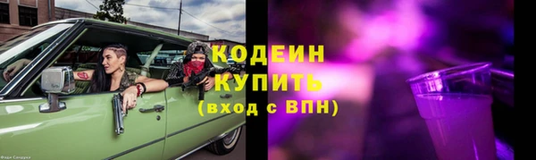 прущие грибы Балабаново