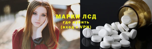 прущие грибы Балабаново