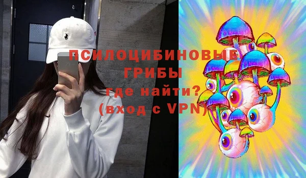 прущие грибы Балабаново