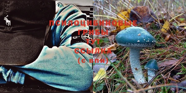 спиды Балахна