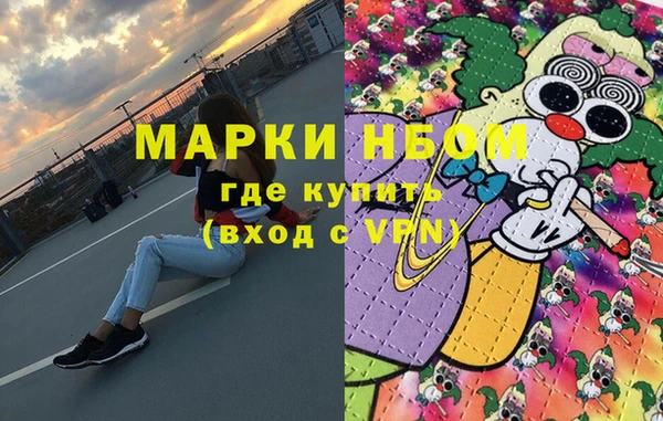 прущие грибы Балабаново