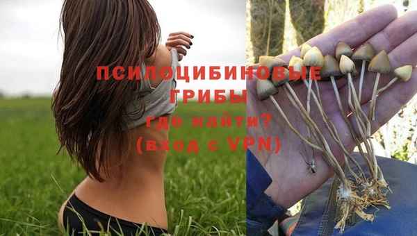 эйфоретик Баксан