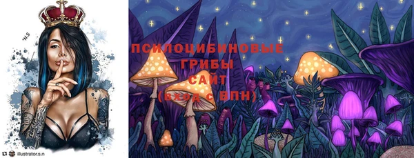 прущие грибы Балабаново