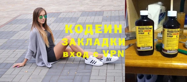 прущие грибы Балабаново
