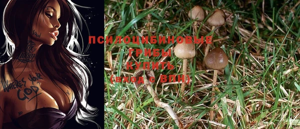 спиды Балахна